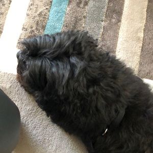 Meet your Posher, Debra